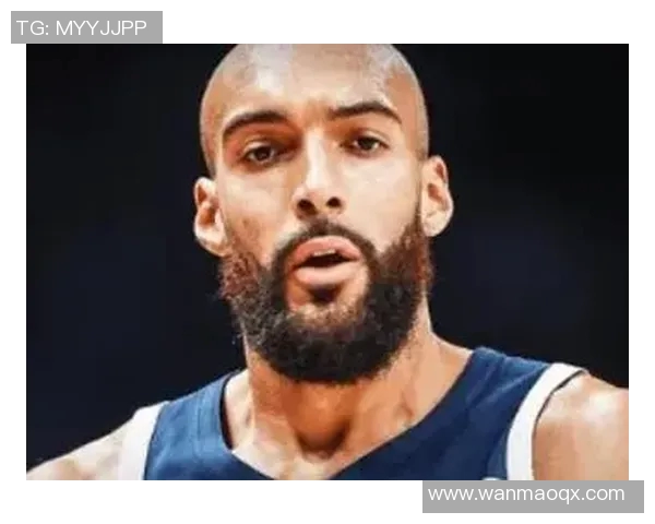 鲁迪戈贝尔:从法兰西到NBA的防守巨兽之路与传奇故事 鲁迪戈贝尔:从法兰西到NBA的防守巨兽之路与传奇故事