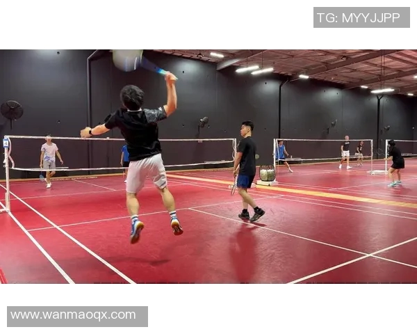 羽毛球专题：探讨杭州羽毛球队灵活性背后的训练与战术创新