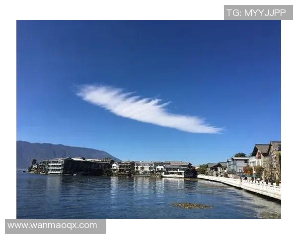 西安羽毛球队逆袭之旅揭秘大师赛背后的奋斗与荣耀