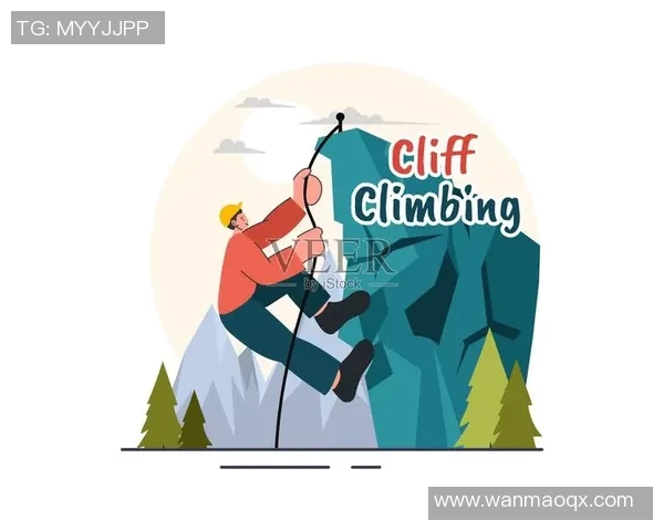 北京极限运动队的灵活性研究与发展趋势分析MBA