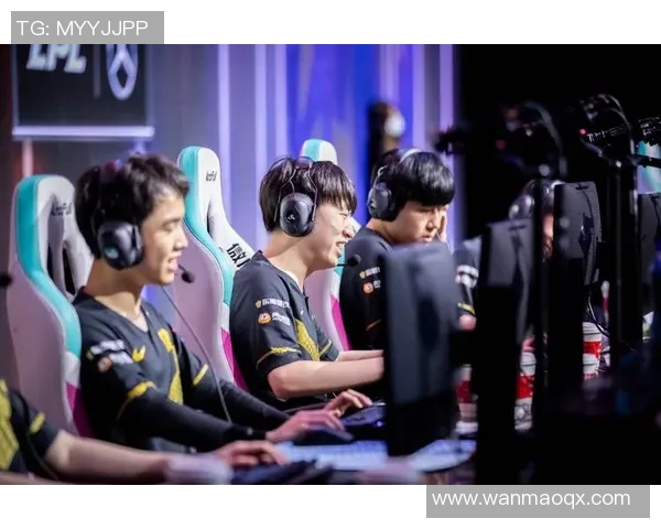 王者荣耀深度解析RNG战队的比赛策略与经验分享