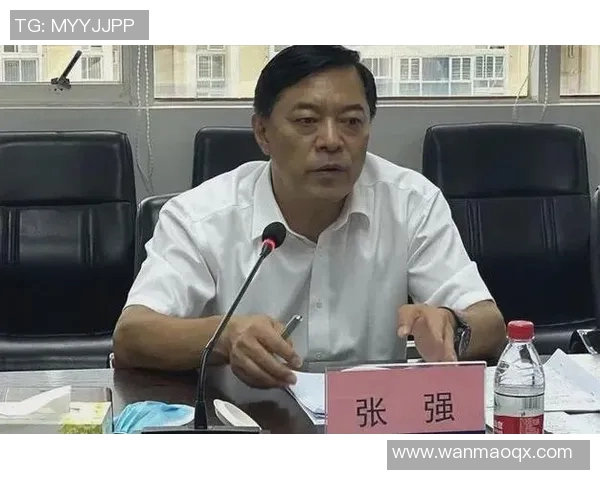 对话张强：回顾羽毛球生涯的辉煌与挑战分享