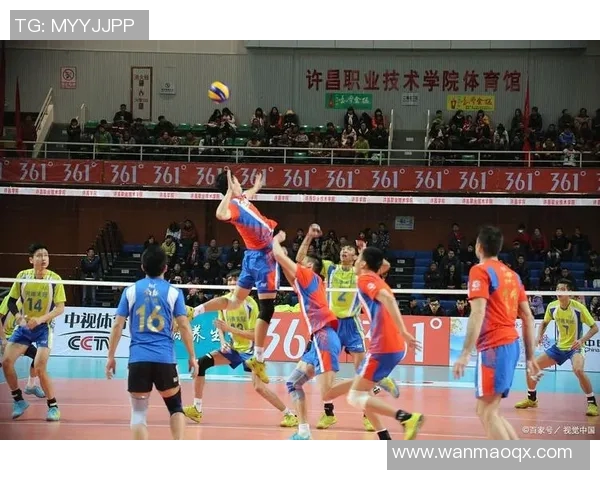 上海排球队团队协作的创新变革与热议分析