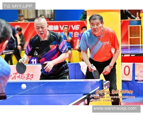 南京乒乓球队速度之美：探索乒乓球运动的魅力与技巧